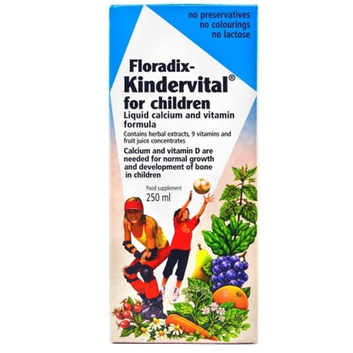 Salus Haus Floradix Kindervital for Children, 250 ml